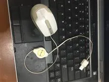 موس