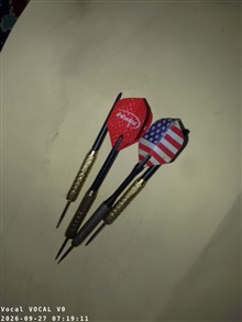 دارت