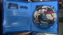 Pes