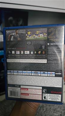 Pes