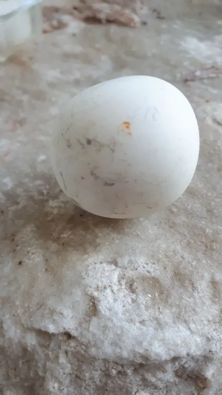 الماس سنگ اسیاب اصلی با سختی 10