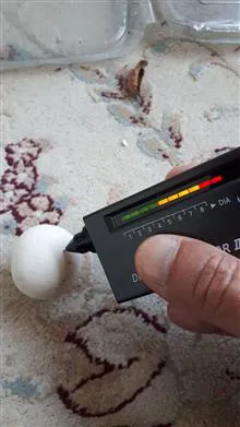 الماس