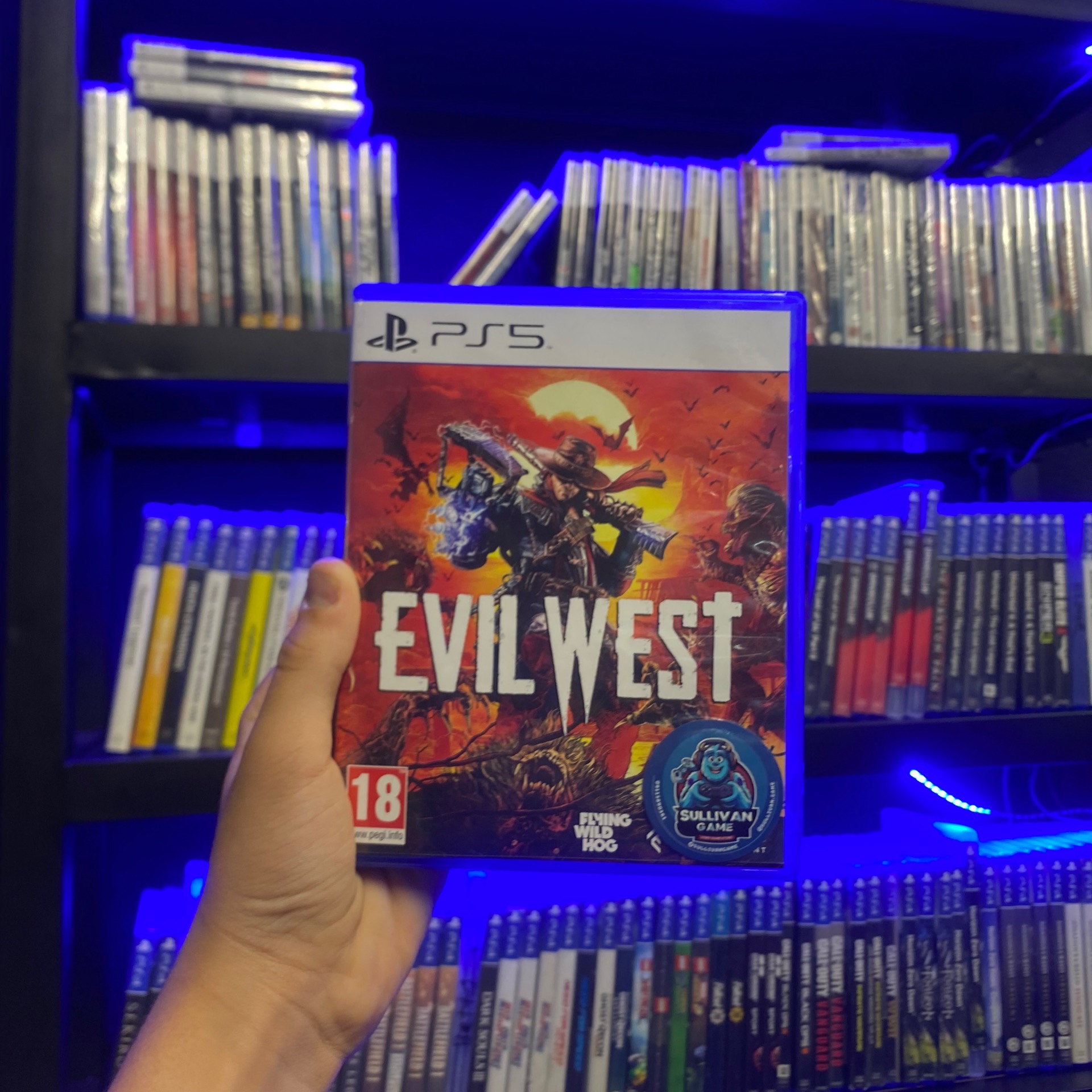 دیسک Evil West
