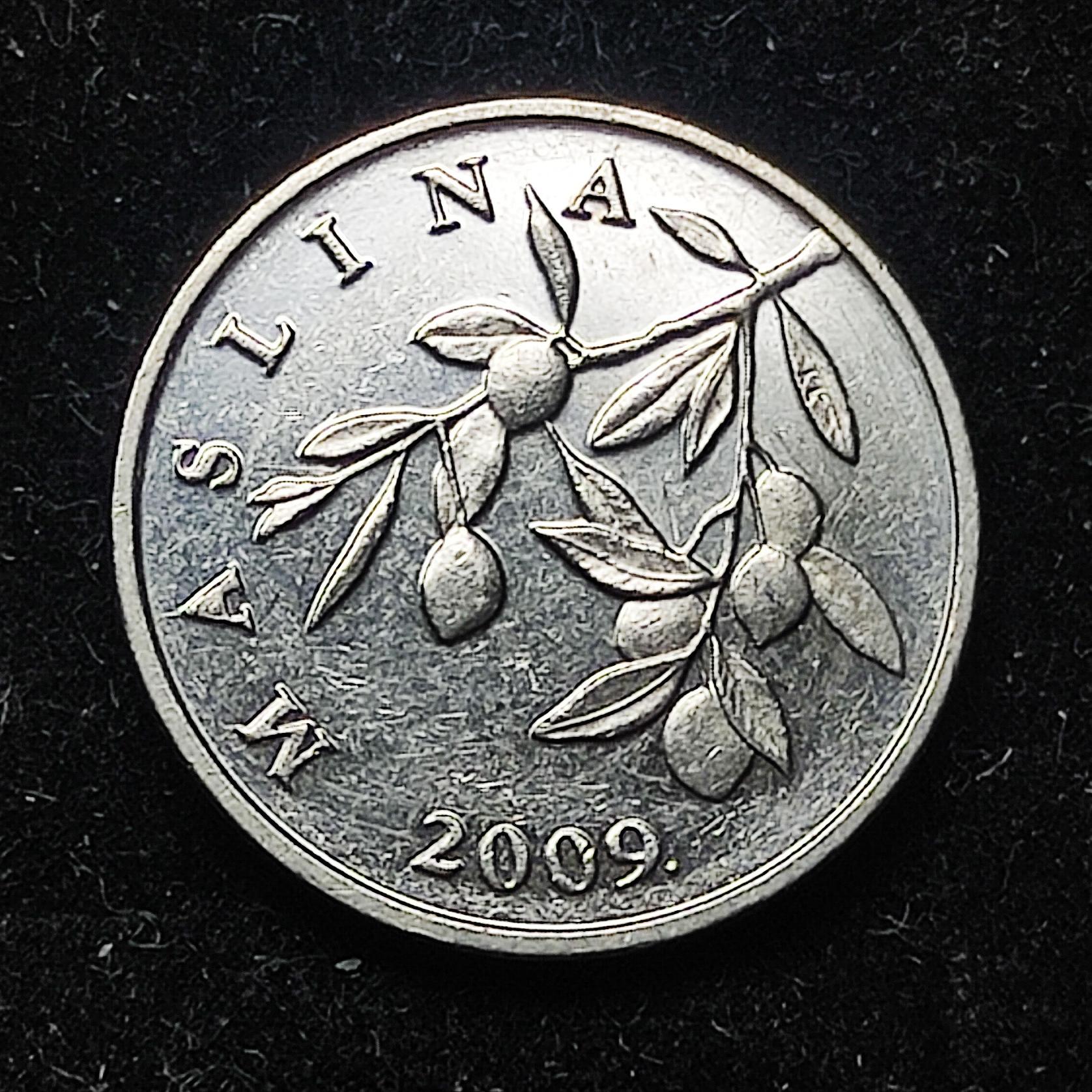 سکه 20 لیپا کرواسی 2009