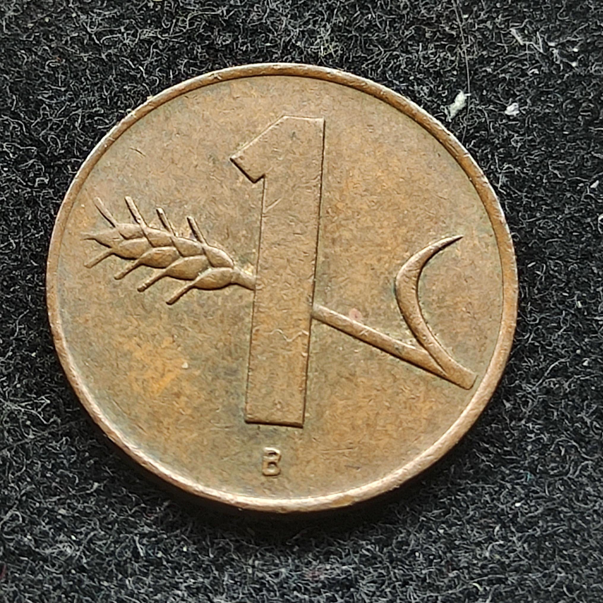 یک راین کمیاب سوئیس 1969