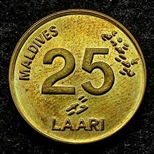 25