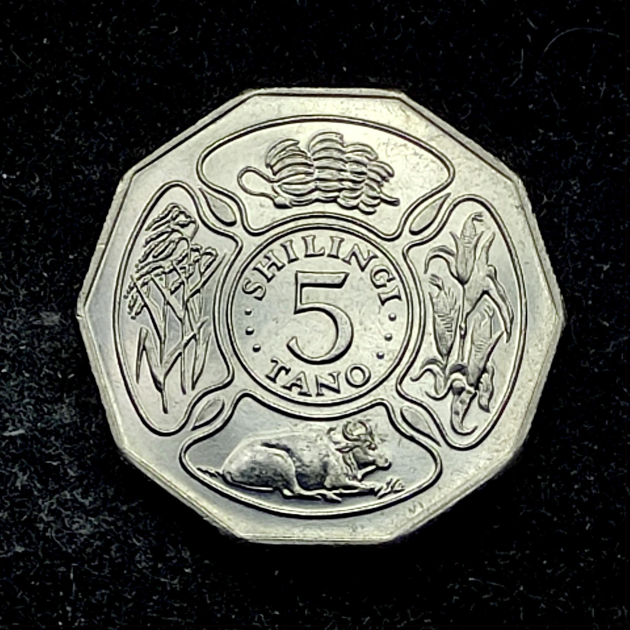 5 شیلینگ 1993 تانزانیا