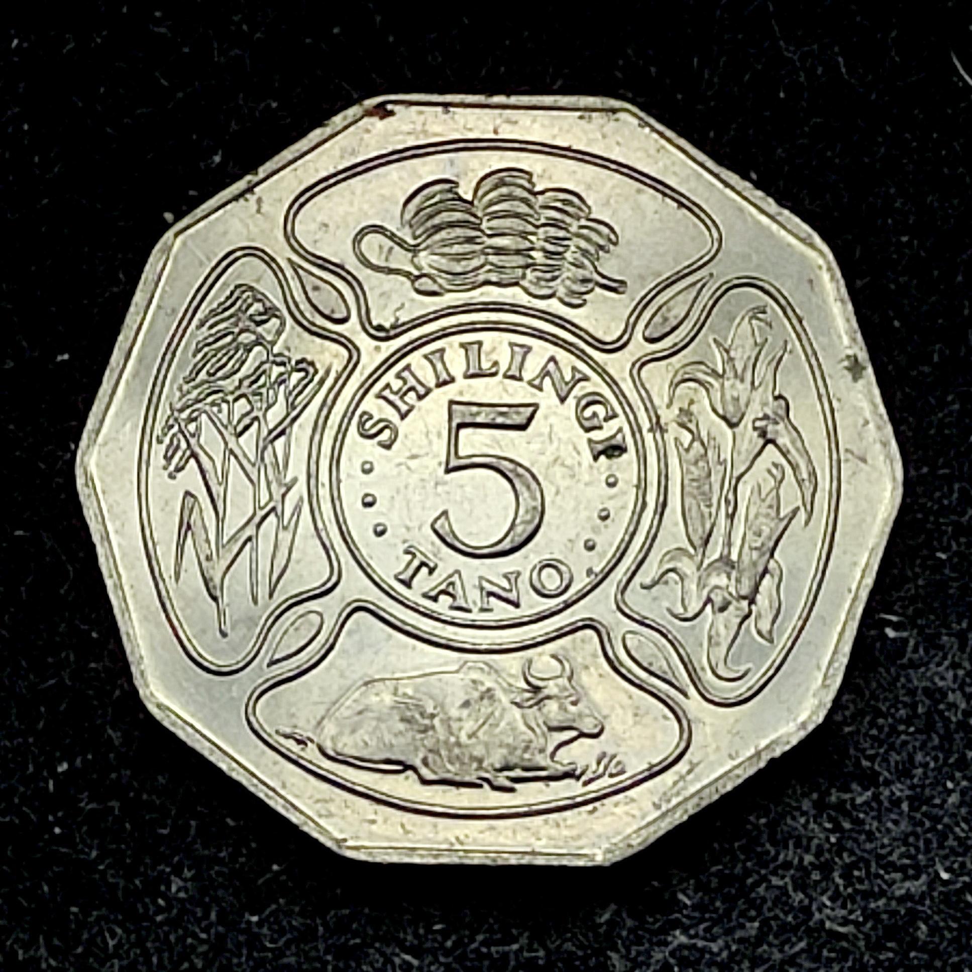 5 شیلینگ 1993 تانزانیا