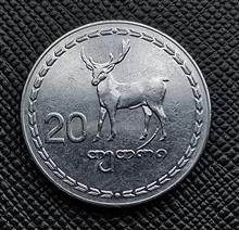 20