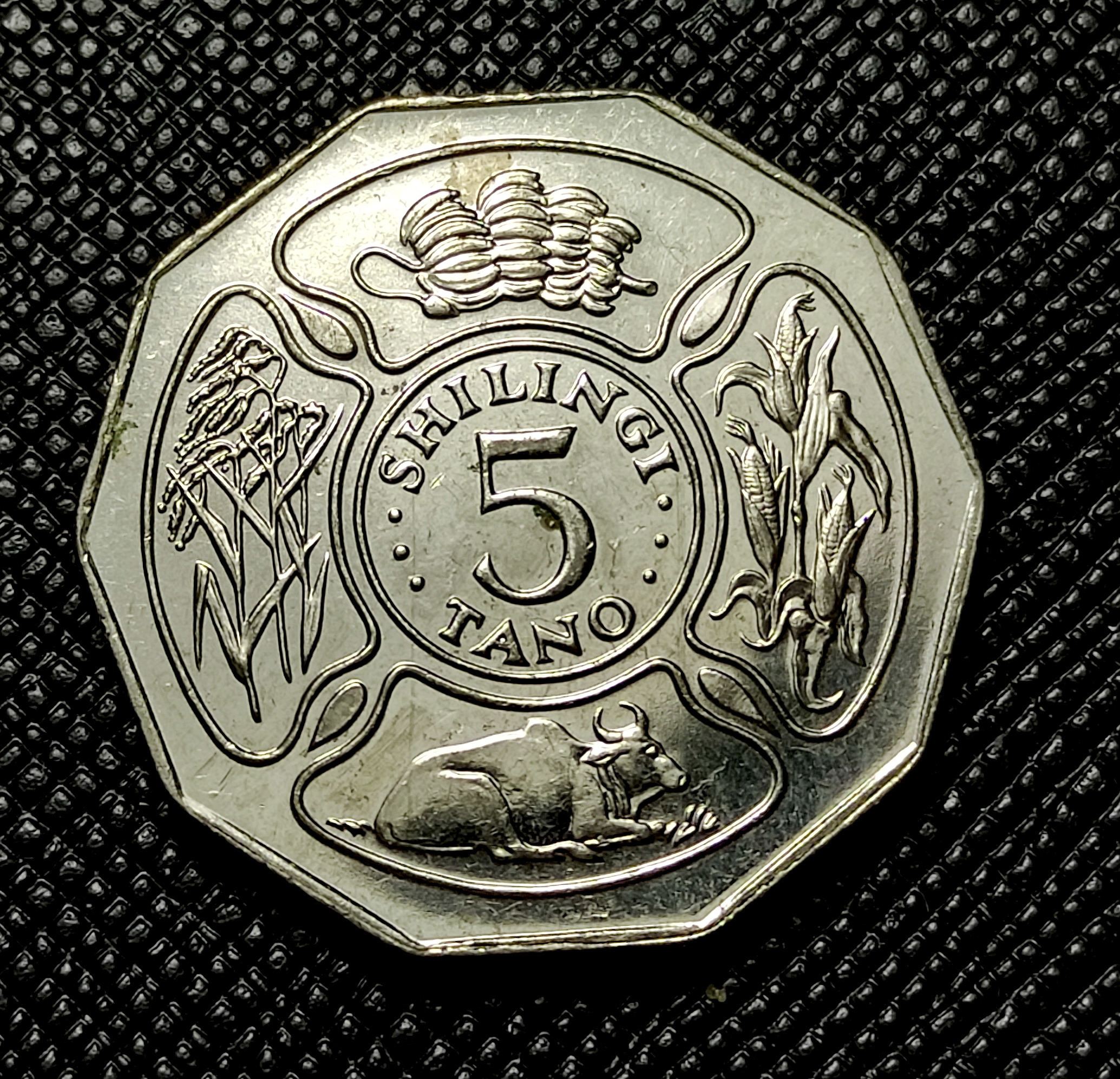 5 شیلینگ 1993 تانزانیا