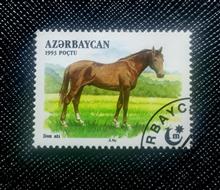 تمبر