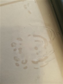 چراغ