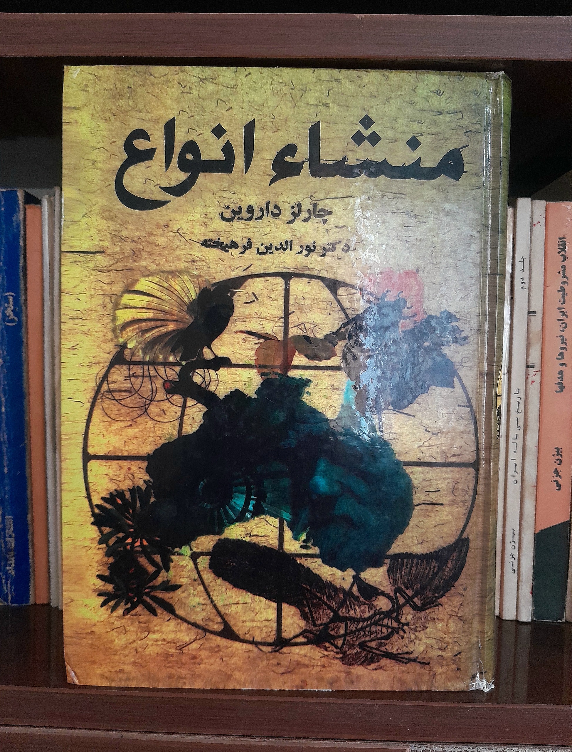 کتاب منشأ انواع (چارلز داروین)