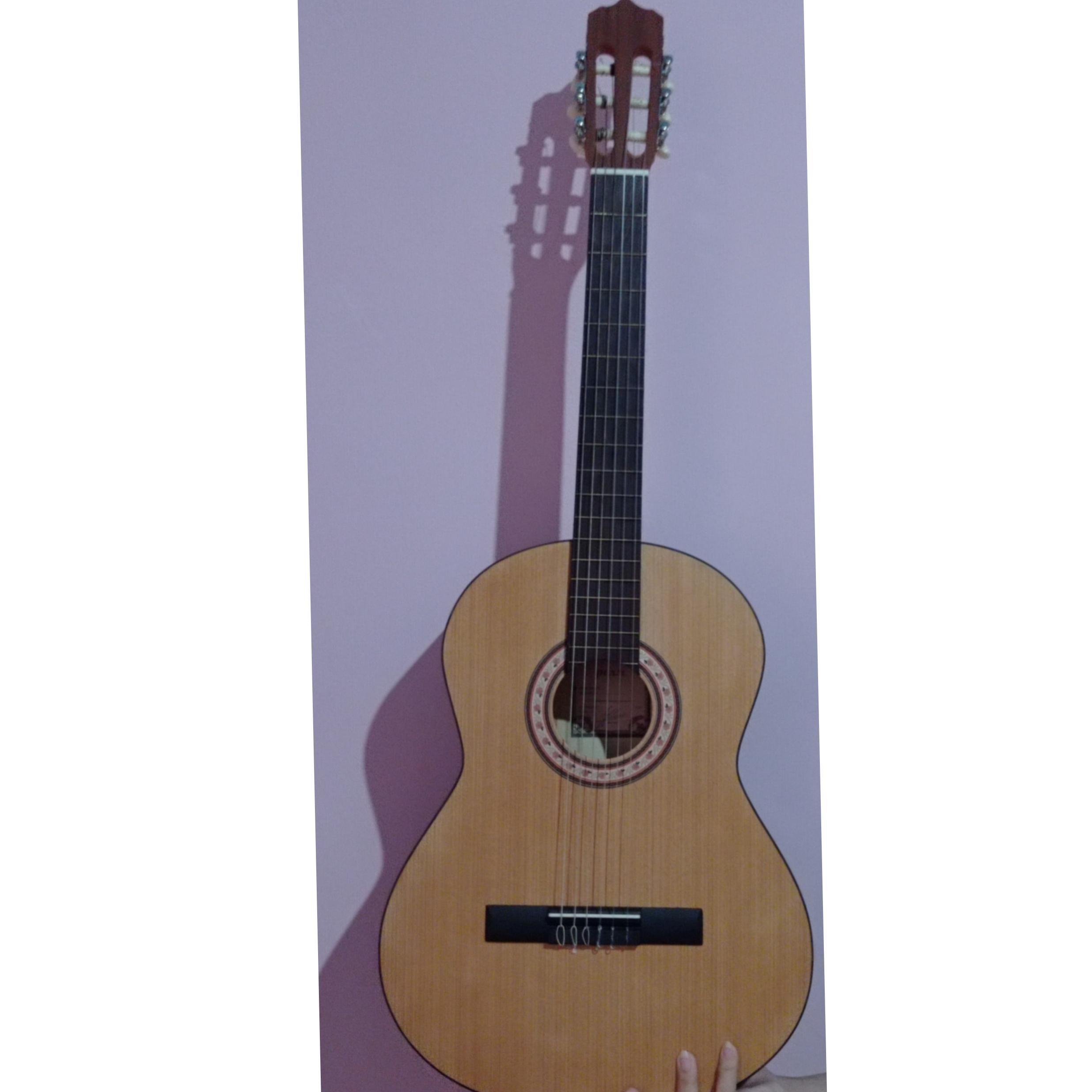 گیتار پارسی