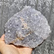 راف