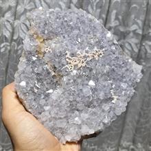 راف