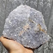 راف