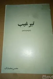 تیر