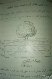 کشت