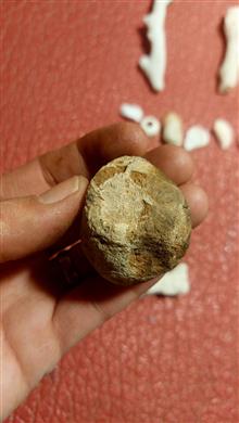 مجموعه