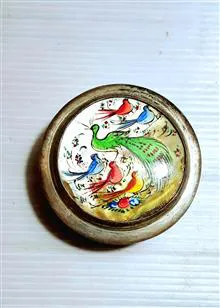 قوطی