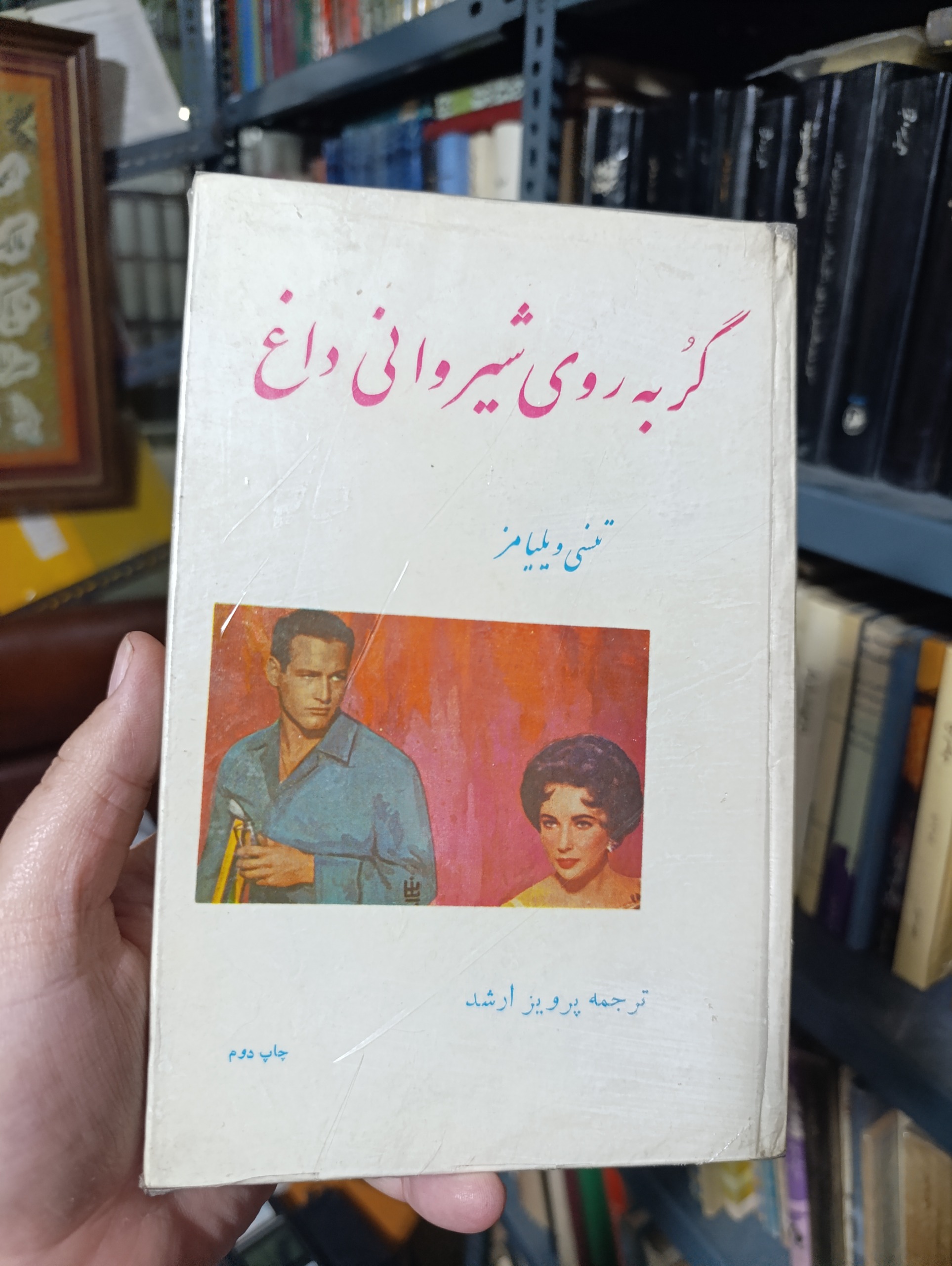 گربه روی شیروانی داغ/جلد سلفون/