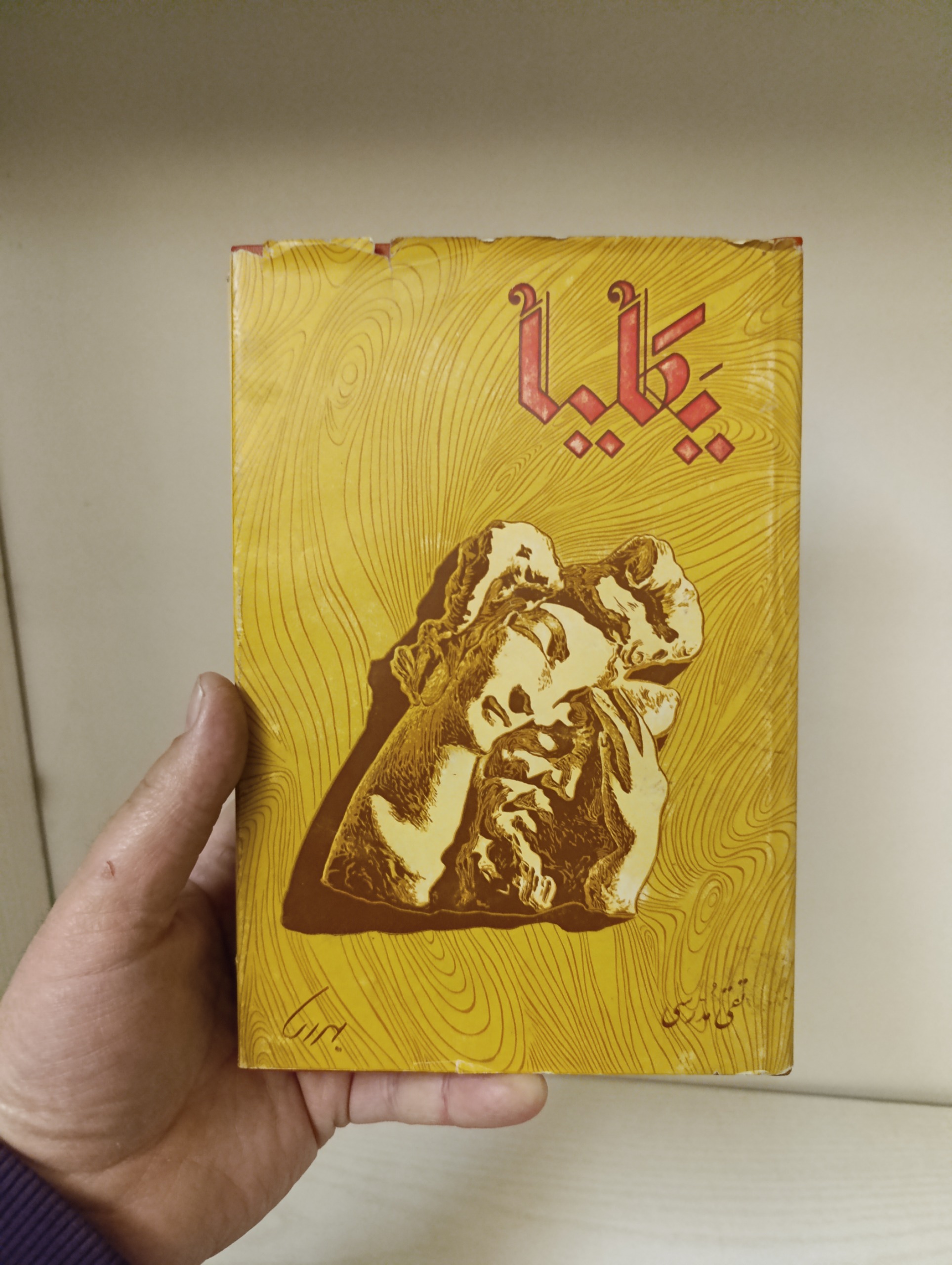 یکلیا و تنهایی او /تقی مدرسی/ گالینگور روکشدار