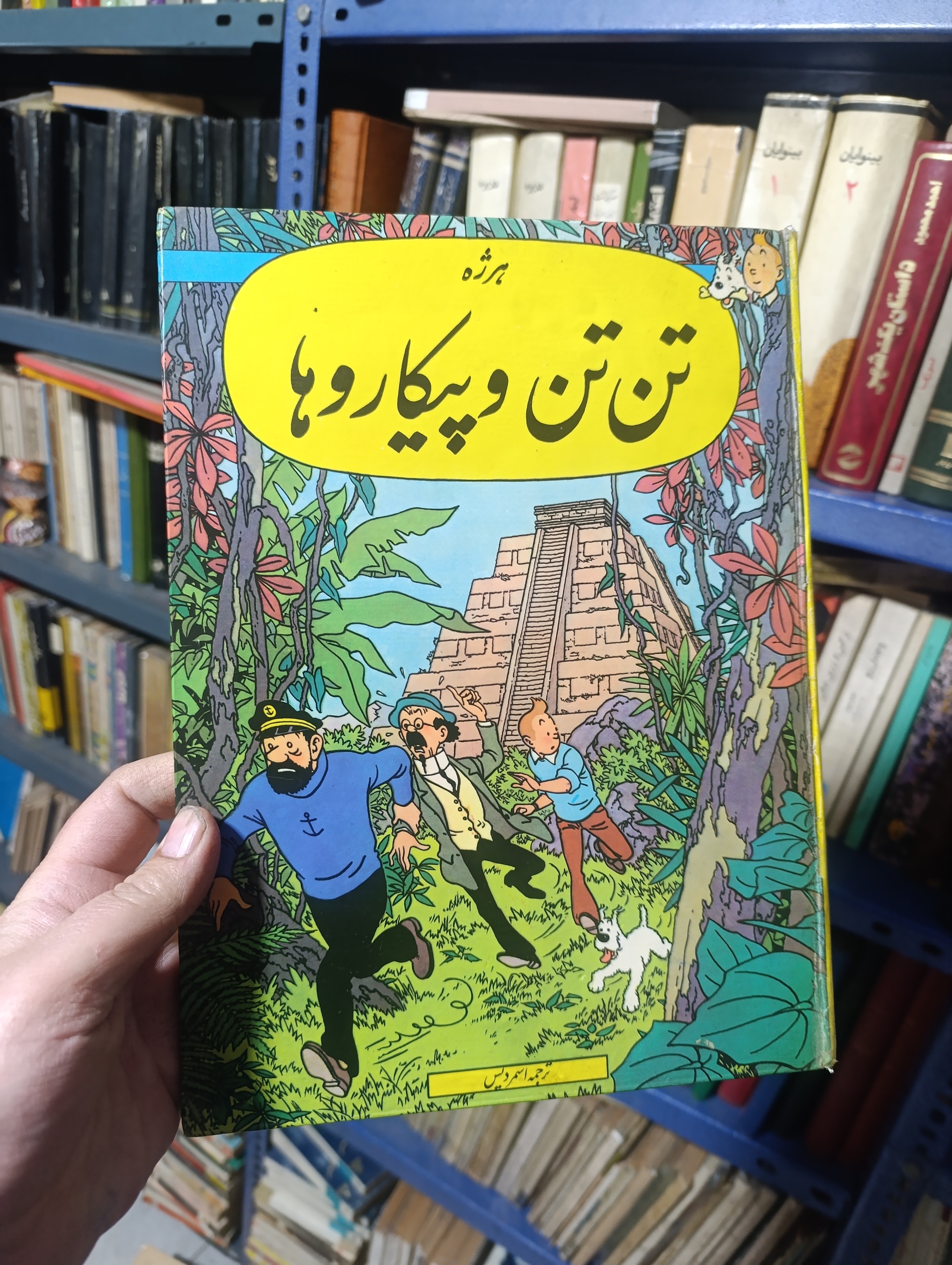 تن تن و پیکاروها