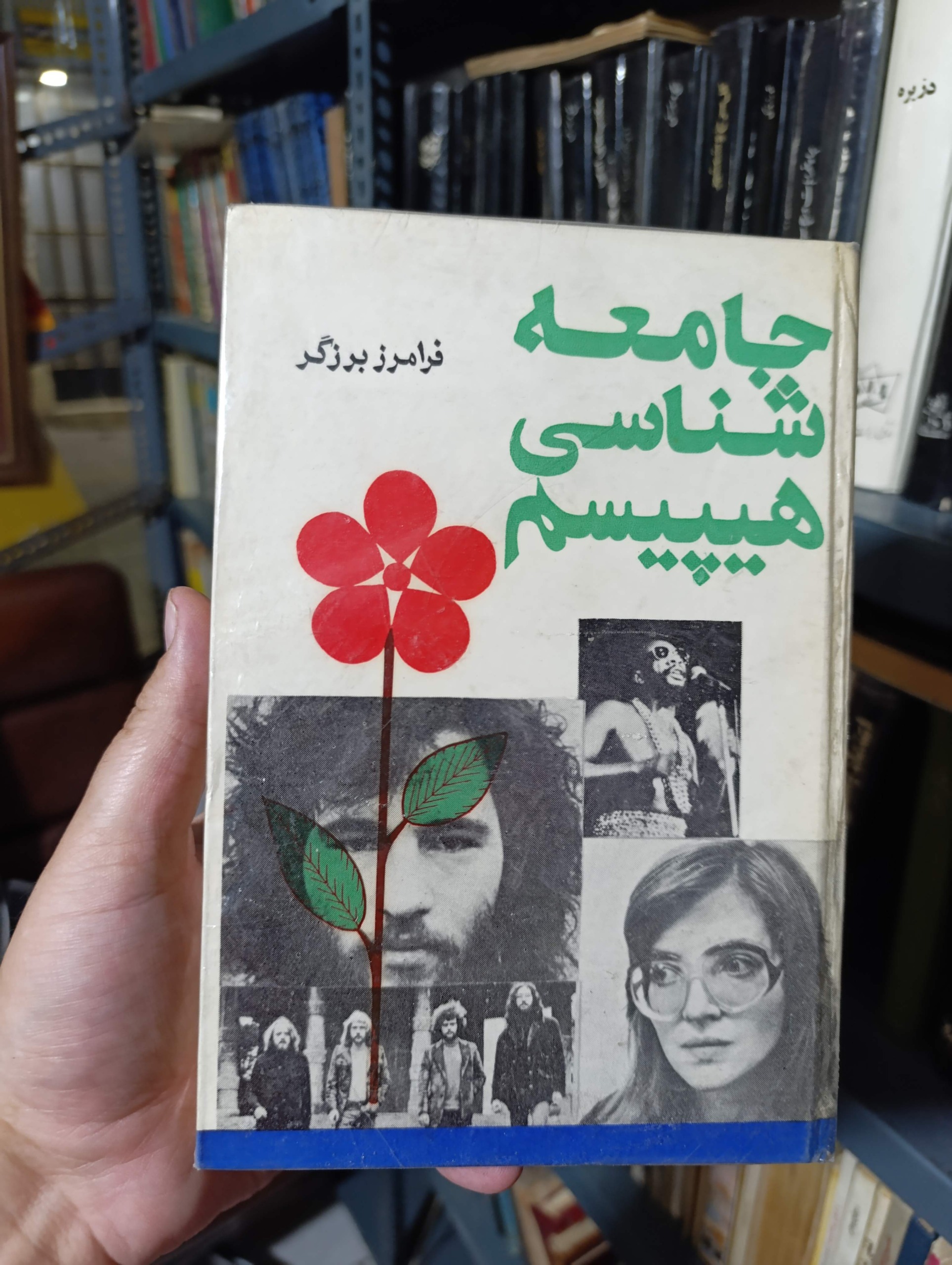 جامعه شناسی هیپیسم