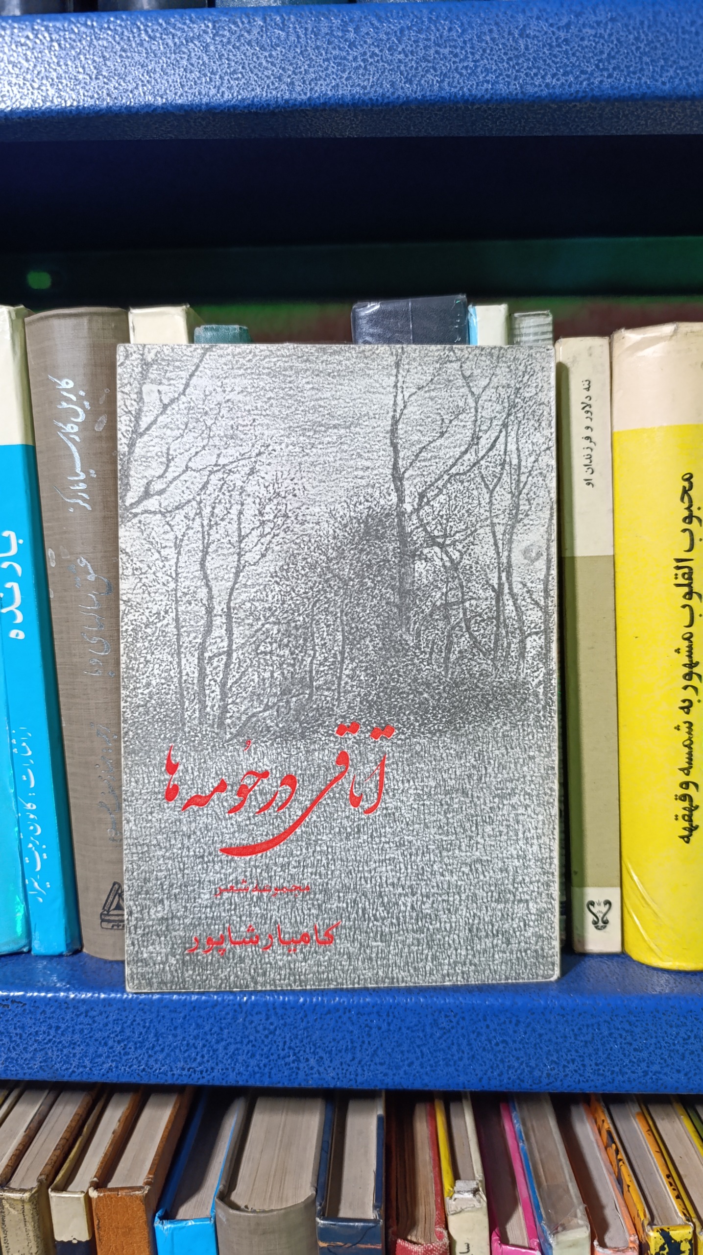 اتاقی در حومه ها / کامیار شاپور