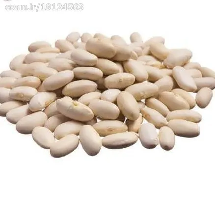 بذر لوبیا کره 10 عددی