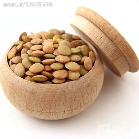 بذرعدس دیم ریز