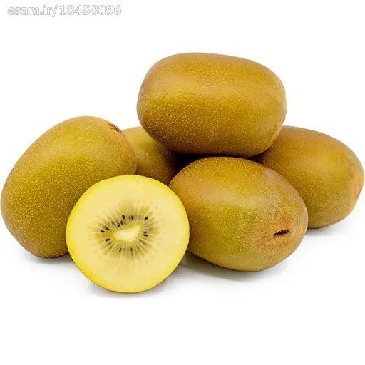 بذر کیوی طلایی