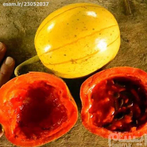 بذر پشن فروت چینی