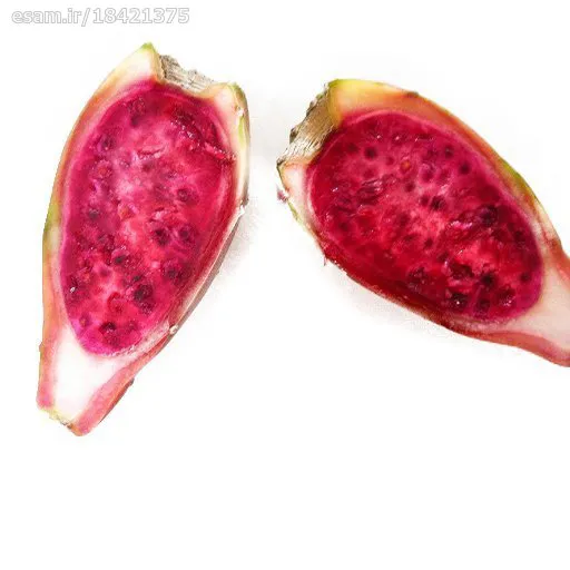 بذر میوه کاکتوس قرمز