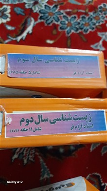 فیلم