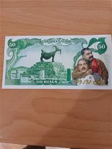 شبه