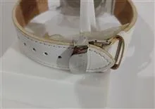ساعت