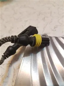 کیت