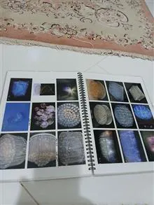 کاتالوگ