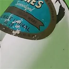 وسیله