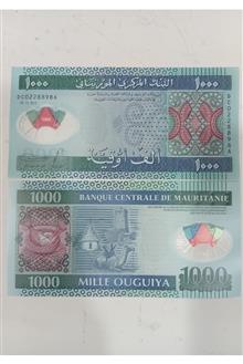 جفت