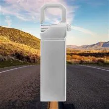 فلش