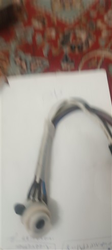 مغزی