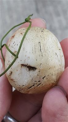 یک