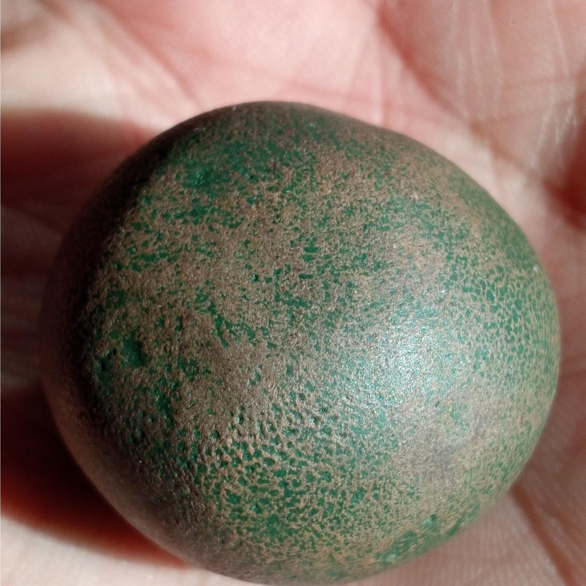 یک قطعه سنگ آهن دار مشکوک به شهابسنگ