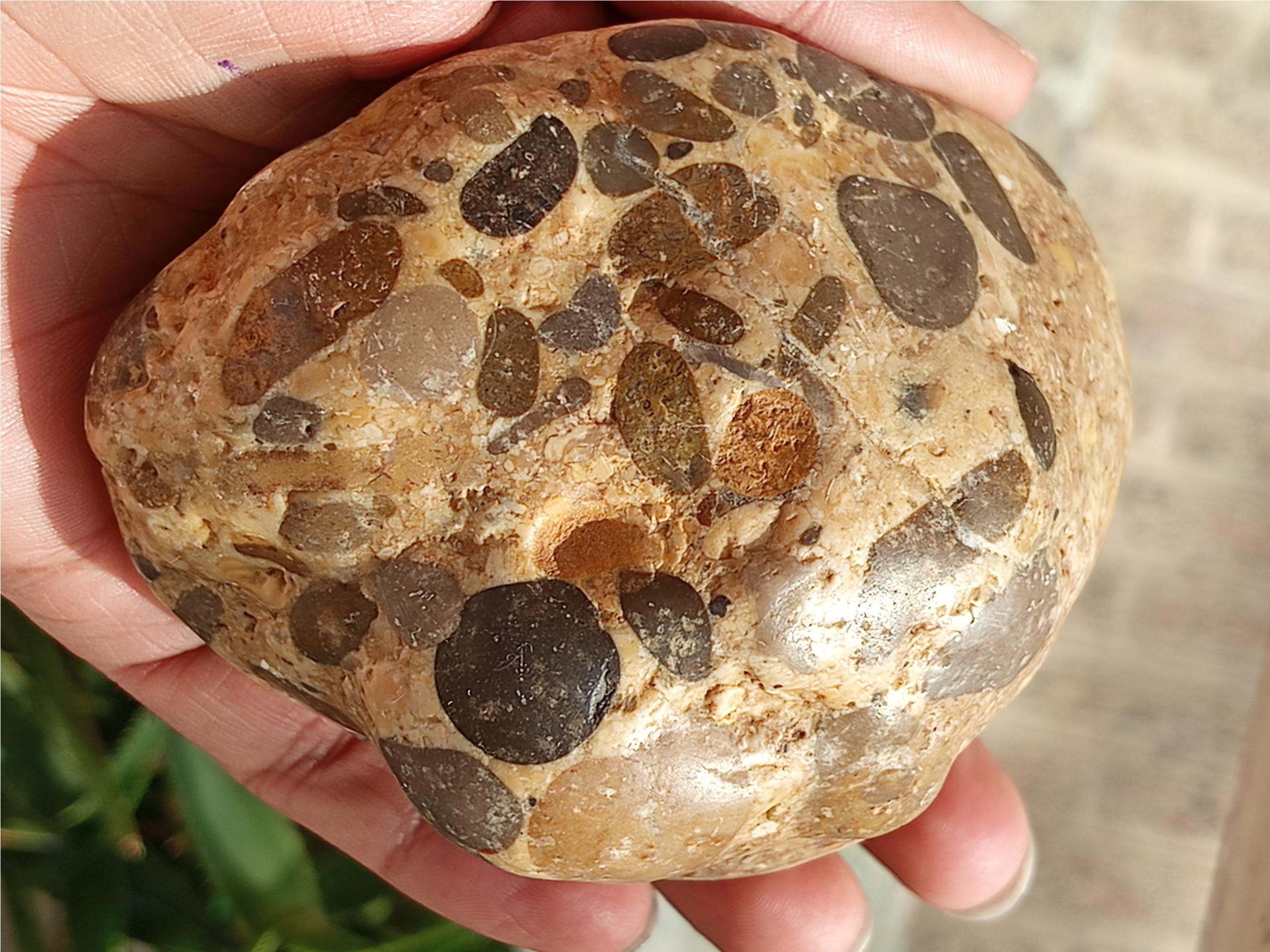 یک قطعه سنگ احتمالا زمینی رسوبی