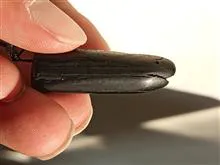 یک