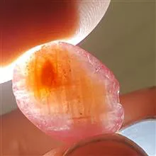 یک