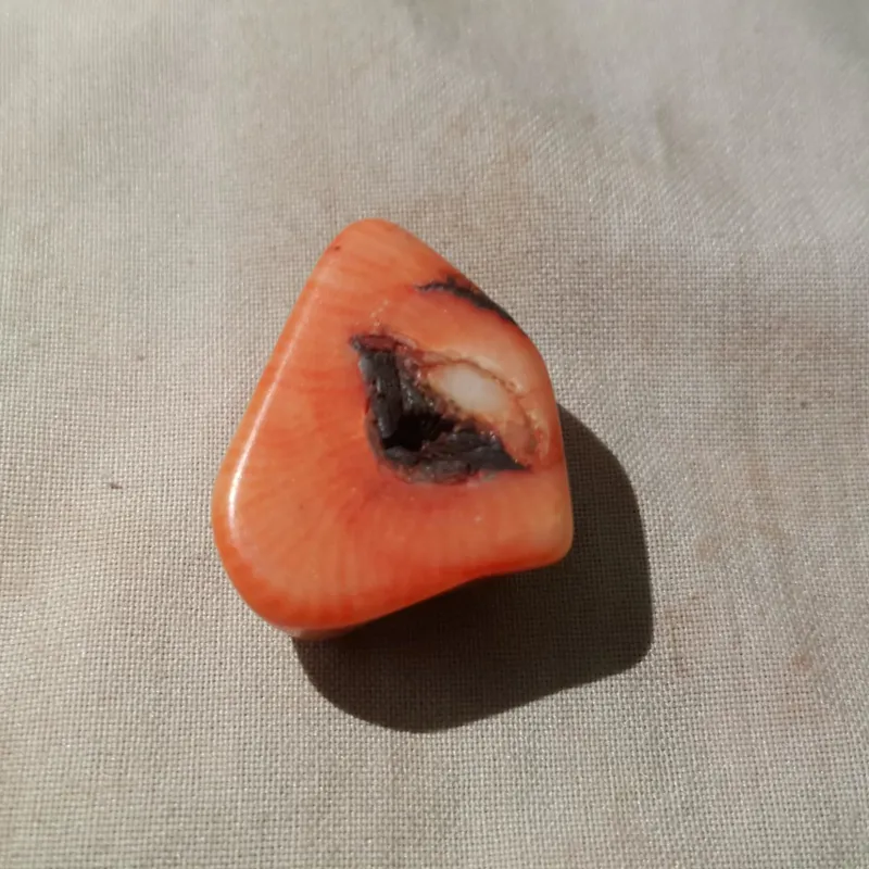 یک قطعه مرجان قرمز رنگ سوراخ دار قدیمی